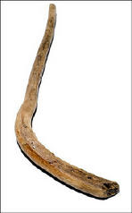 oldest hockey stick